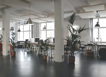 Cleaning Your Office Space With Professional Cleaning Supplies