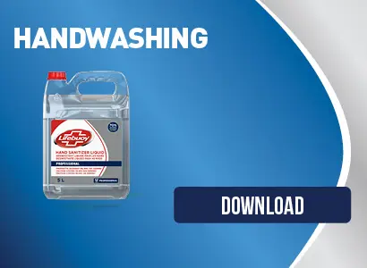 Lifebouy Handwashing Guide
