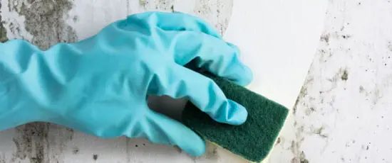 Cleaning a Wall