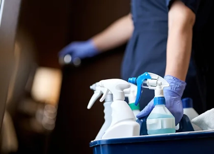 Wholesale Cleaning Supplies for Spring Cleaning